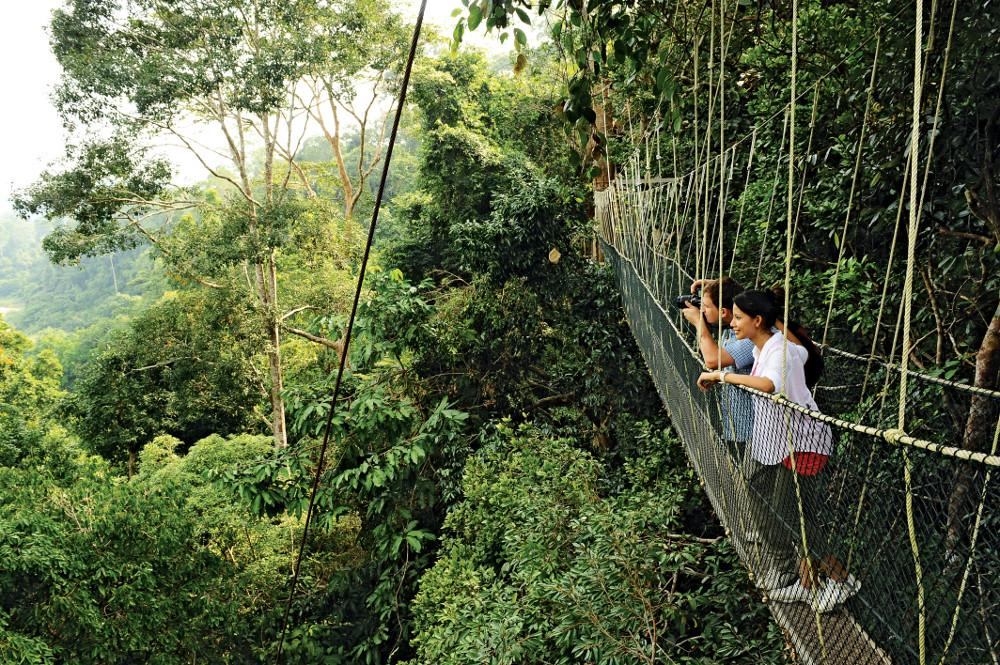 A Trip Back to Nature: Taman Negara Pahang – CatchThatBus | Blog